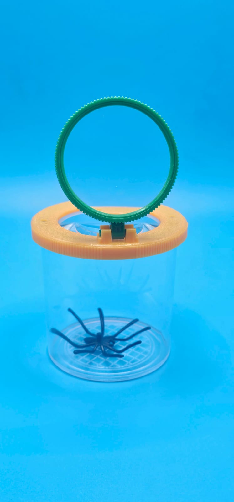 Vaso Lupa Visor de Insectos con Doble Lente 3x y 6x